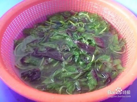 苋菜怎么清洗最干净-图解苋菜的清洗方法1