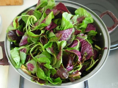 苋菜怎么清洗最干净-图解苋菜的清洗方法2