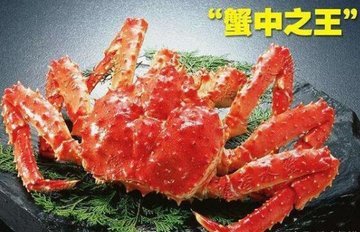 帝王蟹