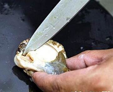 鲍鱼怎么处理干净-图解新鲜鲍鱼的清洗方法2