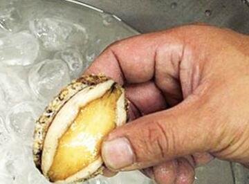 鲍鱼怎么处理干净-图解新鲜鲍鱼的清洗方法4