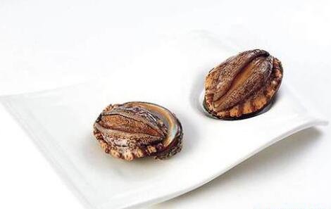 鲍鱼怎么处理干净-图解新鲜鲍鱼的清洗方法5