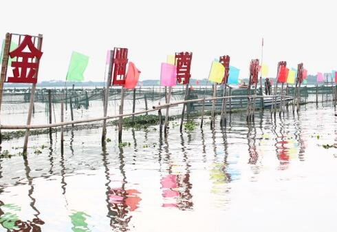 【金世尊】抖音挑战赛，这个中秋一起敬个礼，“蟹蟹”你2