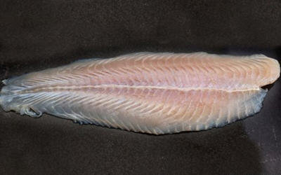 龙利鱼和巴沙鱼的区别-龙利鱼跟巴沙鱼有什么不同1