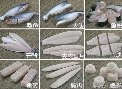 龙利鱼和巴沙鱼的区别-龙利鱼跟巴沙鱼有什么不同3