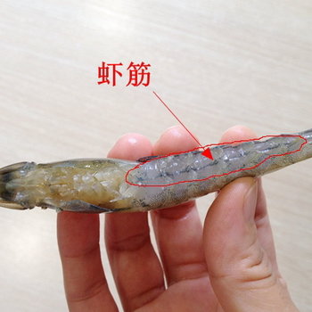 虾怎么处理干净-图解去除虾砂包的处理方法5