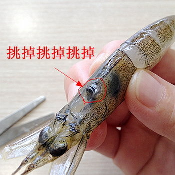 虾怎么处理干净-图解去除虾砂包的处理方法9