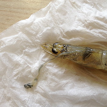 虾怎么处理干净-图解去除虾砂包的处理方法12