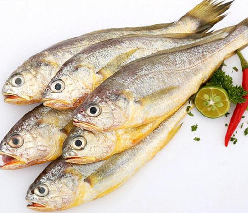 黄花鱼和黄鱼该怎么区分-黄花鱼和黄鱼的区别及价格2