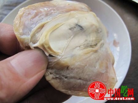 墨鱼干怎么泡发？干墨鱼泡发清洗方法图文教程7