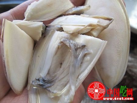 墨鱼干怎么泡发？干墨鱼泡发清洗方法图文教程12