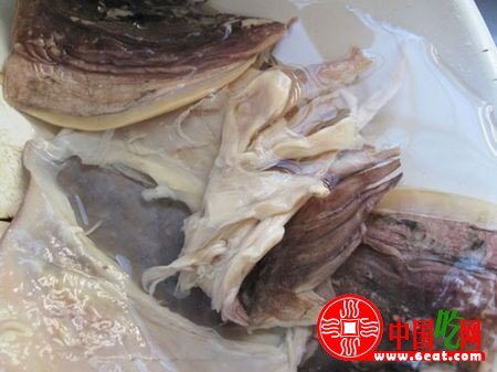 墨鱼干怎么泡发？干墨鱼泡发清洗方法图文教程13