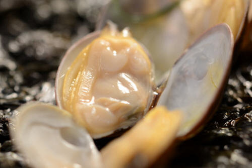 蛤蜊肉的热量是多少-蛤蜊肉热量高吗1