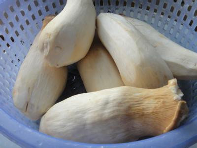 杏鲍菇怎么切？图解杏鲍菇的各种切法1