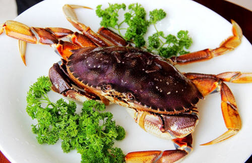 珍宝蟹多少钱一斤-新鲜的珍宝蟹价格表能卖多少钱1