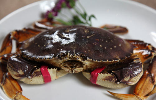 珍宝蟹多少钱一斤-新鲜的珍宝蟹价格表能卖多少钱3