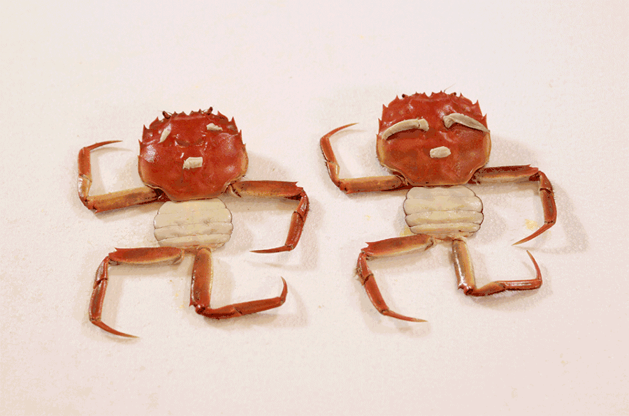 恭贺【蟹太太】入驻巧盟社交电商平台！承“盟”赏识，必有重“蟹”！12