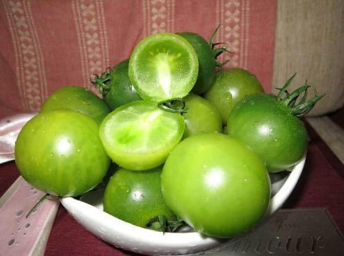 绿番茄（西红柿）有毒吗？绿番茄（西红柿）能吃吗？1