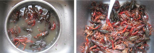 小龙虾怎么洗简单快速又干净-小龙虾的清洗方法图解3