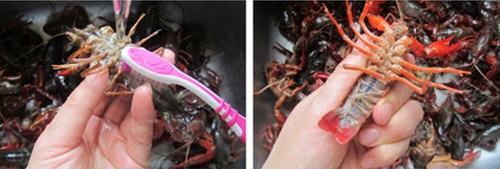 小龙虾怎么洗简单快速又干净-小龙虾的清洗方法图解4