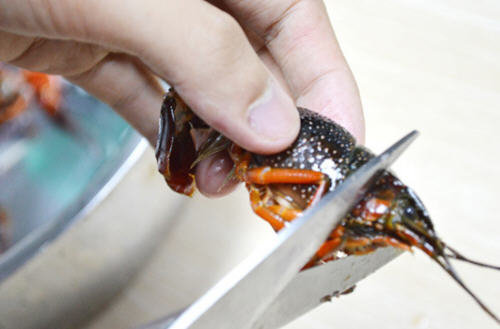 小龙虾怎么洗简单快速又干净-小龙虾的清洗方法图解8