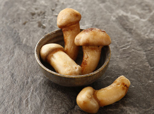 松茸的保存方法-新鲜松茸怎么样保鲜更长久的技巧1