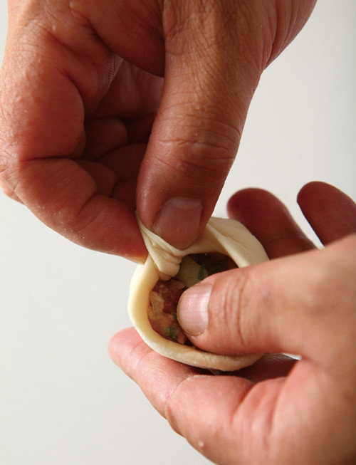 水煎包怎么捏？图文讲解水煎包的包法12