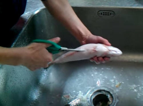 鲈鱼怎么处理？鲈鱼怎么清洗没腥味？图解鲈鱼的杀法5