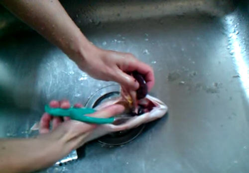 鲈鱼怎么处理？鲈鱼怎么清洗没腥味？图解鲈鱼的杀法6