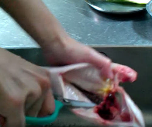 鲈鱼怎么处理？鲈鱼怎么清洗没腥味？图解鲈鱼的杀法7