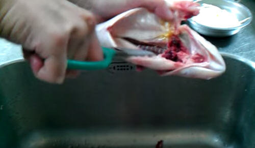 鲈鱼怎么处理？鲈鱼怎么清洗没腥味？图解鲈鱼的杀法8