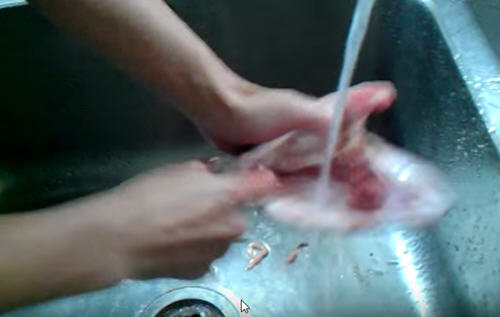 鲈鱼怎么处理？鲈鱼怎么清洗没腥味？图解鲈鱼的杀法9