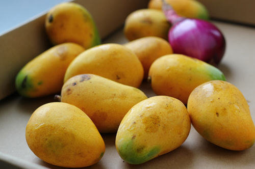 芒果热量高吗？为什么都说芒果热量高易长胖2