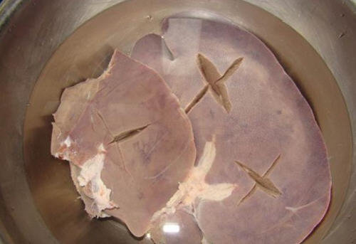 猪肝怎么洗才干净？图解猪肝的正确清洗方法1