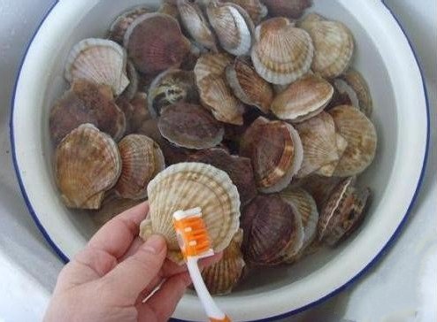 冷冻扇贝肉怎么清洗？图解超市卖的冷冻扇贝肉清洗方法3