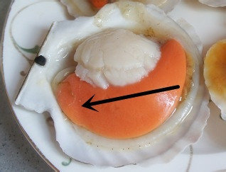 冷冻扇贝肉怎么清洗？图解超市卖的冷冻扇贝肉清洗方法5