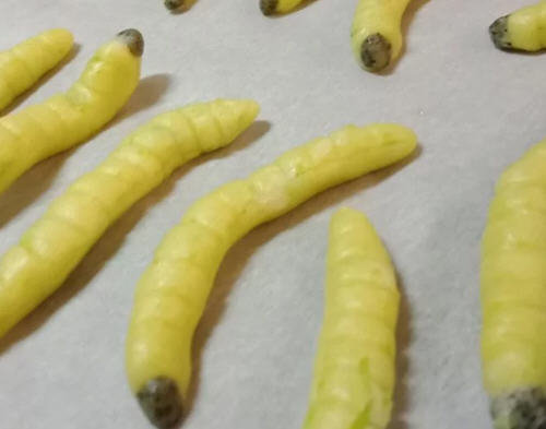 猪儿虫是什么梗？四川话猪儿虫是什么意思？4