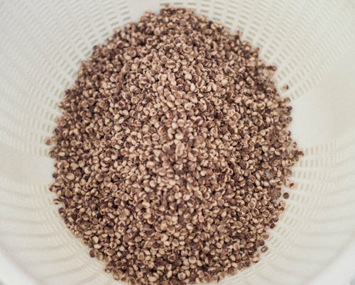 高粱米的做法-家庭高粱米怎么吃最好图解3