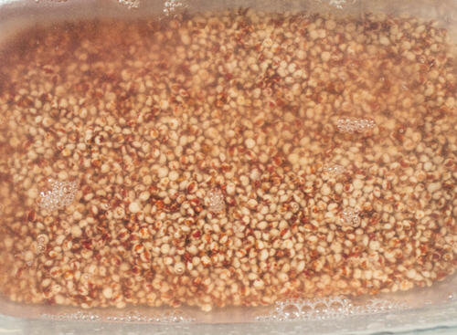 高粱米的做法-家庭高粱米怎么吃最好图解4