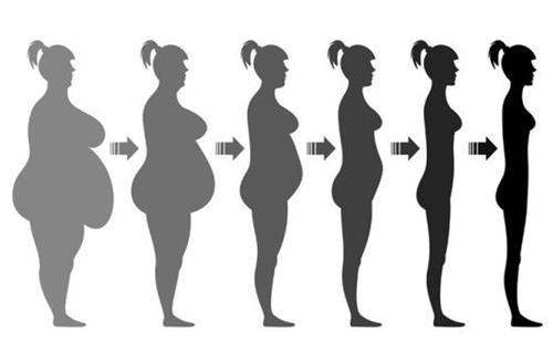 BMI值越低越好吗？长寿最佳的BMI值应该在哪里？1