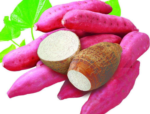 山芋红薯地瓜的区别-山芋、红薯、地瓜有什么不同1