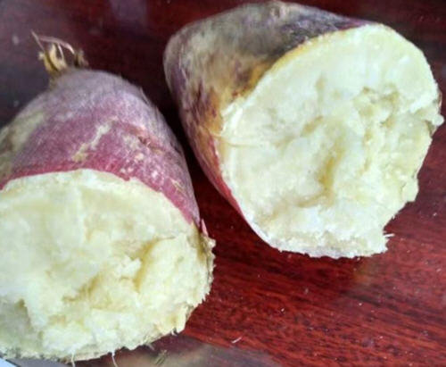 山芋红薯地瓜的区别-山芋、红薯、地瓜有什么不同3