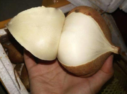 山芋红薯地瓜的区别-山芋、红薯、地瓜有什么不同4