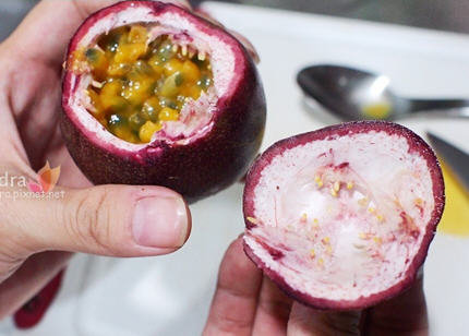 百香果怎么切开？图解如何切百香果吃最方便不伤肉的切法8