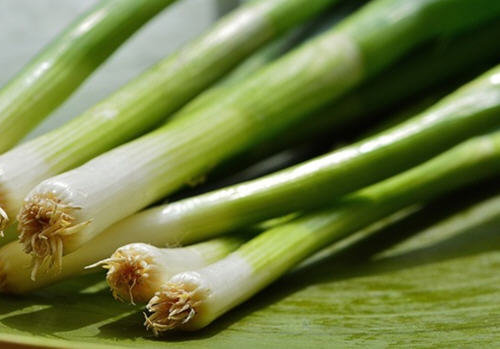 生活中关于蔬菜的英语单词大全(附中英图文对照表)20