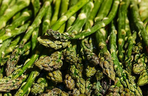 生活中关于蔬菜的英语单词大全(附中英图文对照表)22