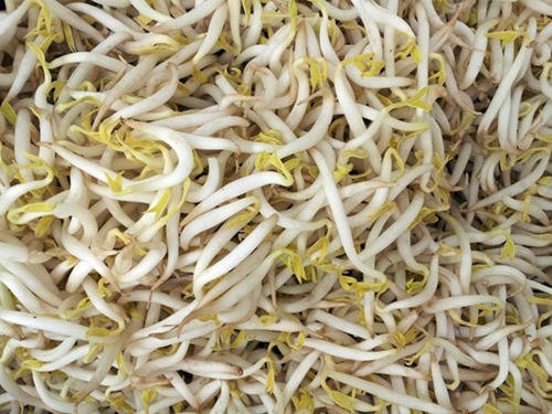 生活中关于蔬菜的英语单词大全(附中英图文对照表)31