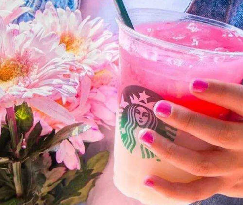 星巴克饮品菜单和图片12