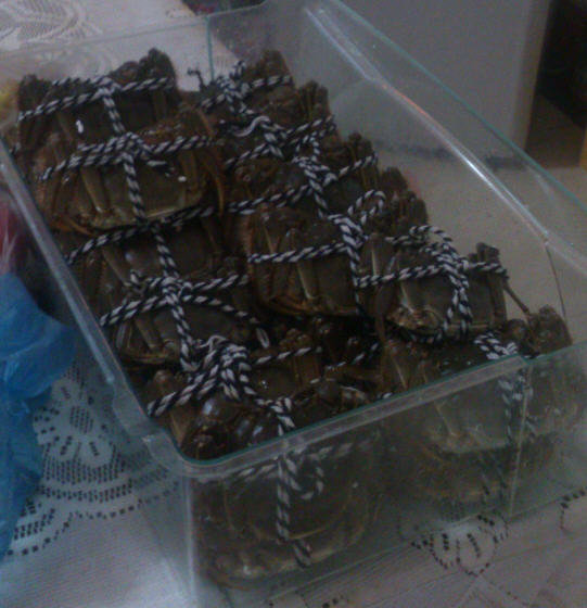 活大闸蟹怎么养不会死的保存方法1