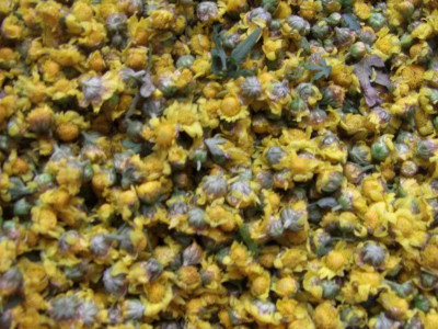 讲解山菊花的药用价值-山菊花的功效1